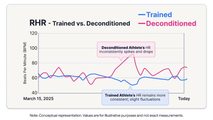 athlete resting heart rate tracking with smart rings