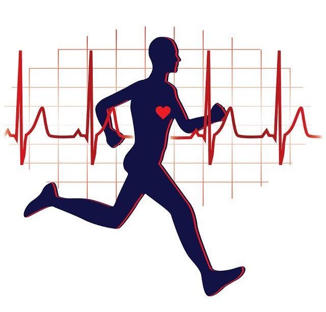 Optical sensor technology tracking cardiovascular capacity