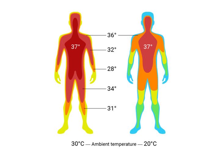 Core body temperature tracking and hormonal baseline metrics