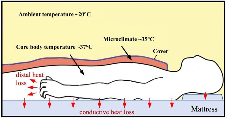 Scientific chart demonstrating how core and skin temperature vary during sleep states