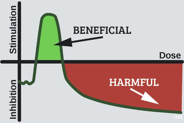 hormesis definition