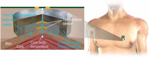 Continuous monitoring of skin temperature during sleep using advanced smart ring technology