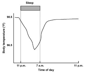 skin temperature variations during ovulation and menstrual cycle