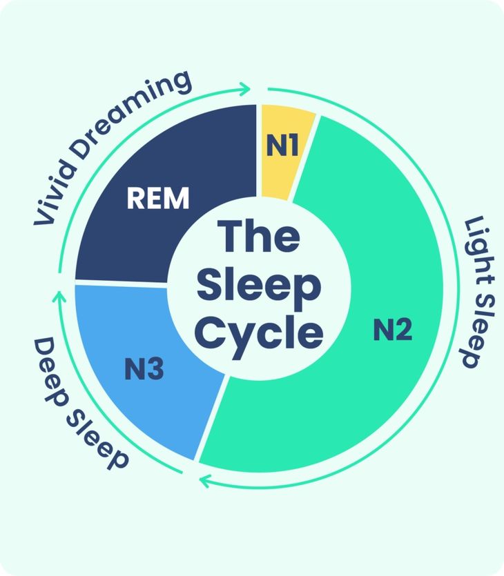 Scientific visualization of human sleep stages and hypnogram analysis