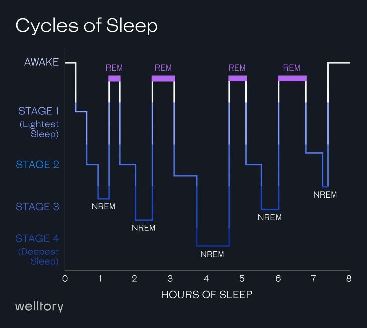 Autonomic sleep stages chart showing deep sleep and REM cycles tracked by smart ring sensors