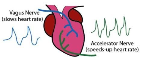 The relationship between vagus nerve stimulation, sleep quality, and heart rate variability